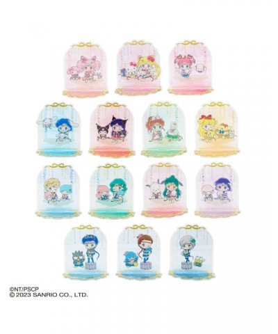 Pretty Guardian Sailor Moon Cosmos Acrylic Stand Blindbox $10.02 Home Goods